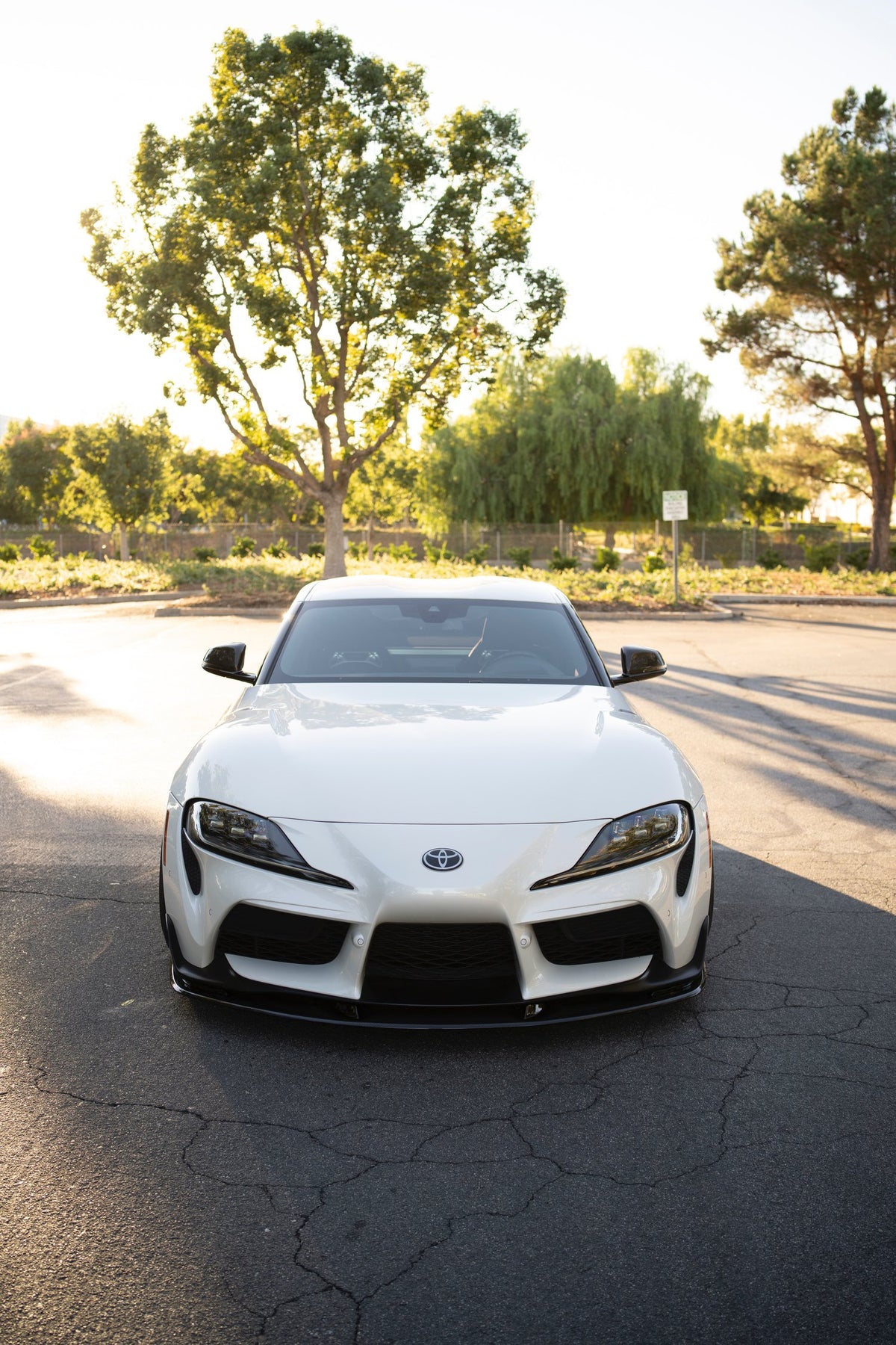 Spec-A Lip Kit