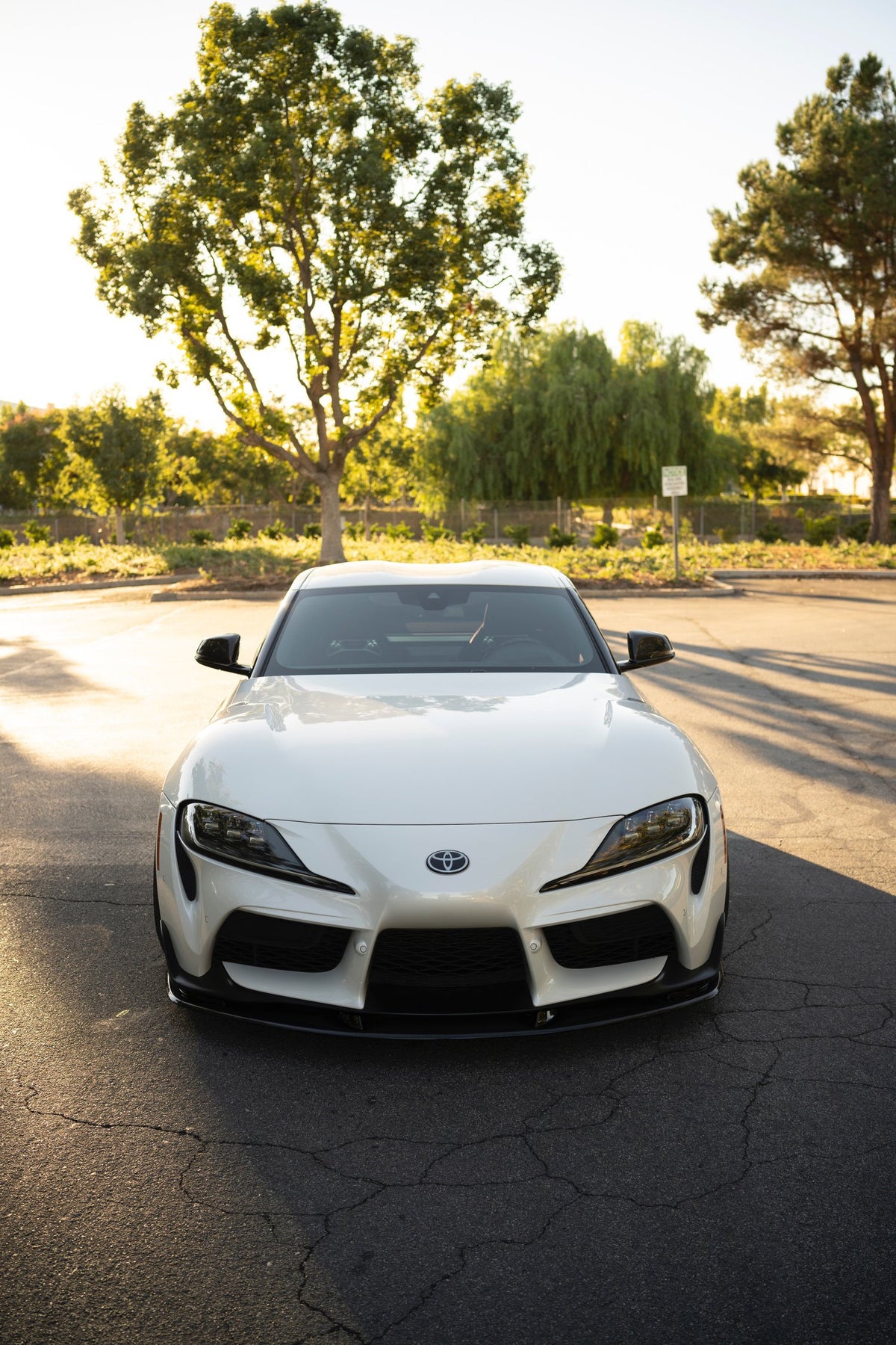 Spec-A Lip Kit
